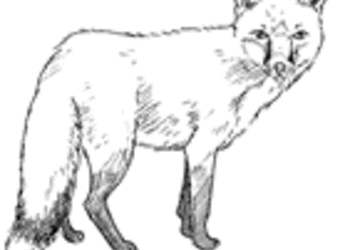 4013